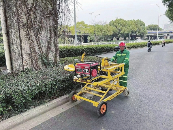 綠化養(yǎng)護